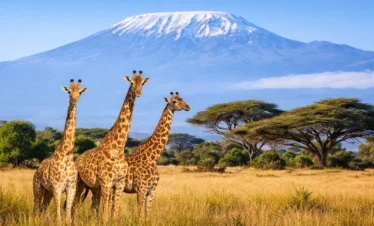Amboseli Safari Low Season